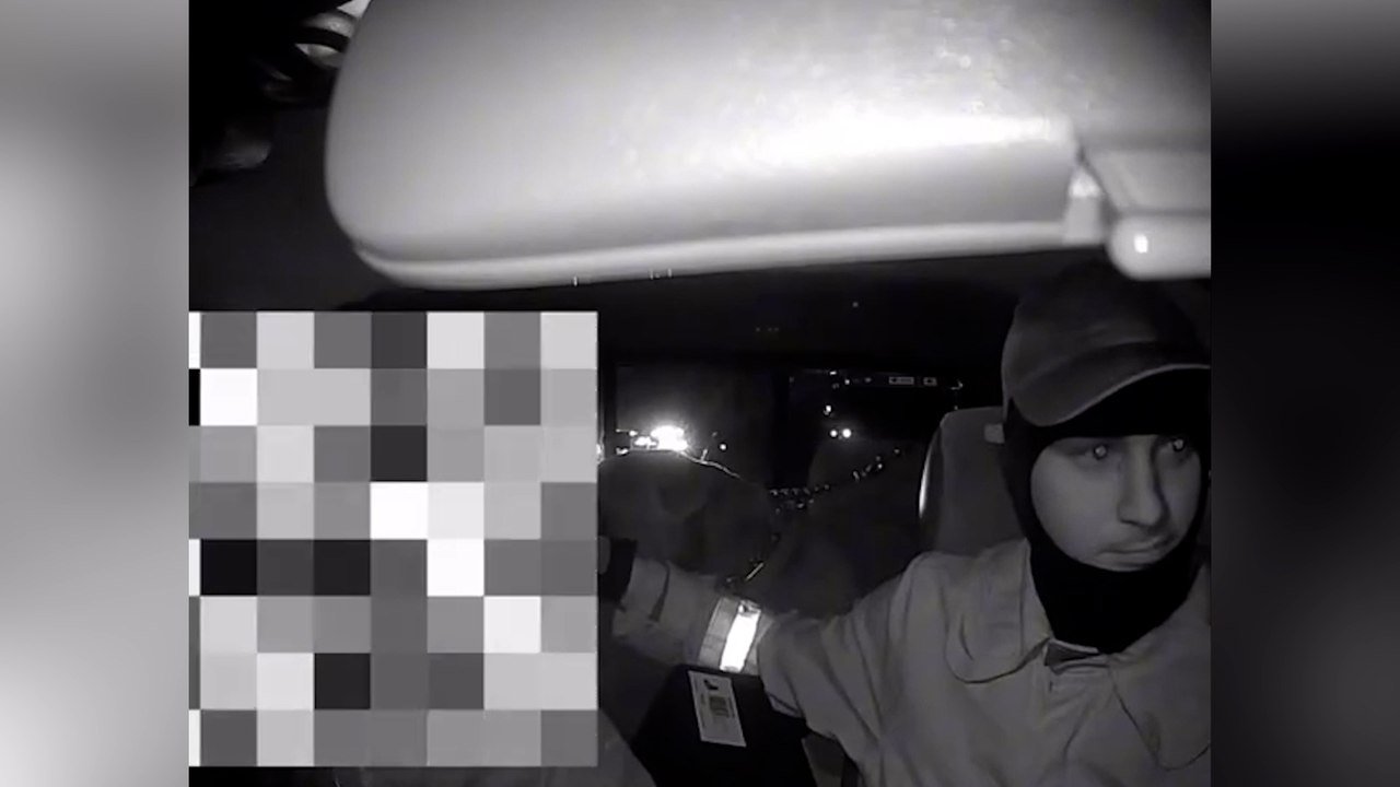 Held rettet eine Frau und ihre vier Hunde vor einem Feuer in Los Angeles