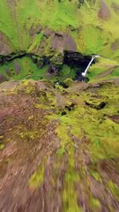 Very beautiful green place