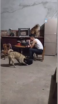 The mind is unchanging in the midst of countless changes in life