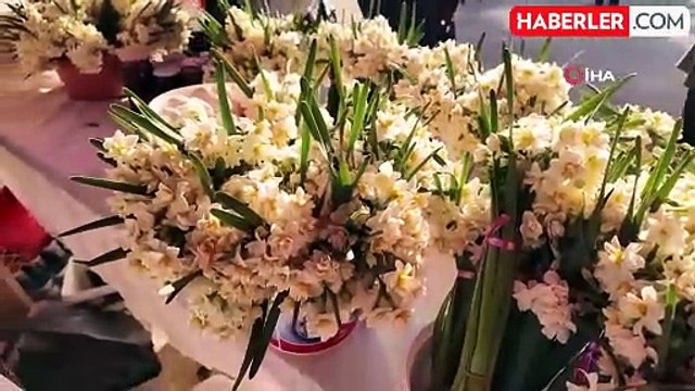 Mersin'de 3. Nergis Şenliği Coşkusu