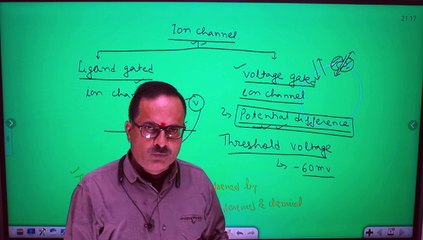 Transmission of Nerve impulse through axon