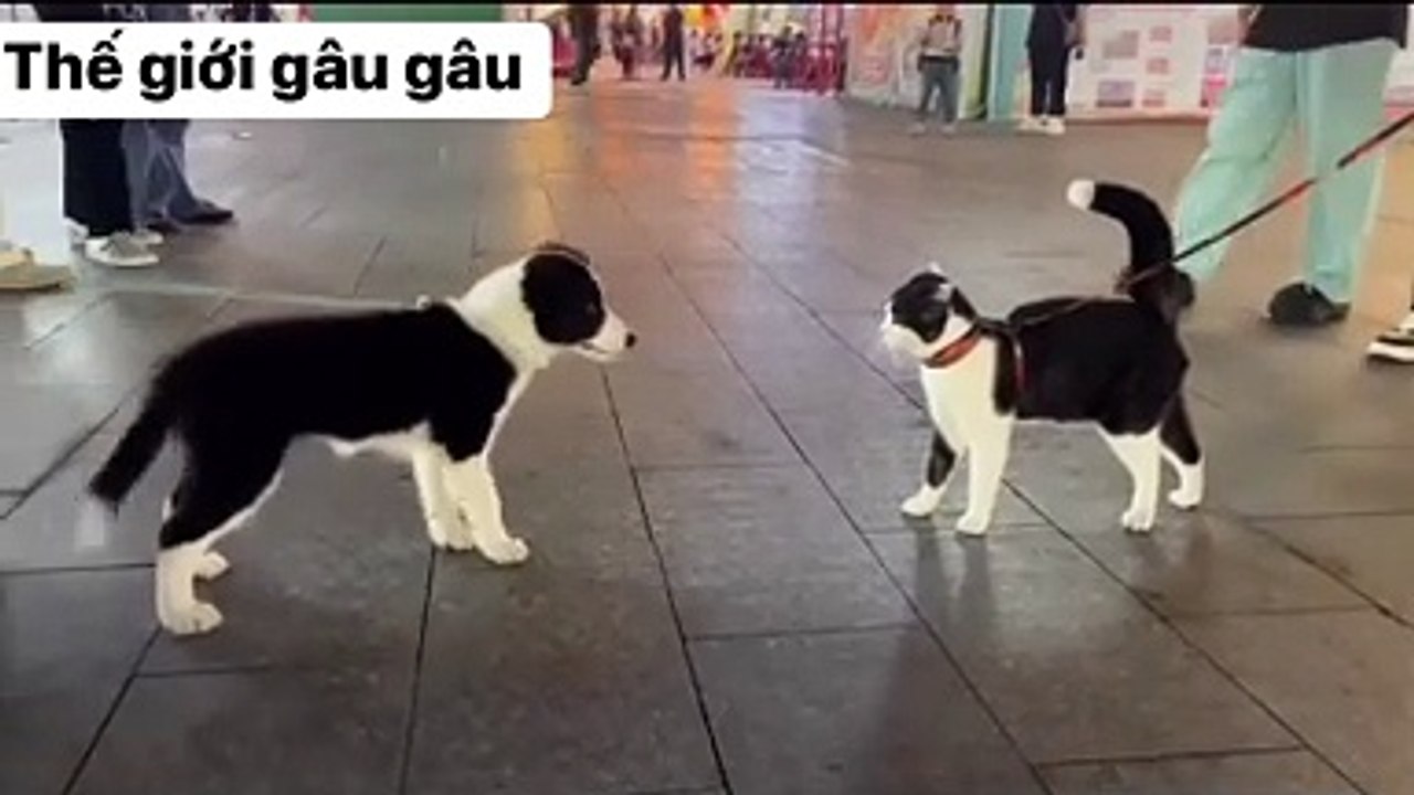 I think it's the same
