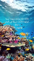 "The sea of life is vast. Sometimes, we forget our purpose. Let's seek the divine guidance. #Quran #SurahAlKahf #reflection #soulsearching #spiritualjourney"