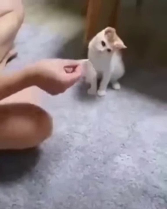 Everyone is a magician, You just need right audience. lol tout le monde est un magicien, il faut juste le bon public.