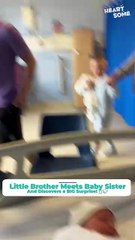 Big Brother’s Priceless Reaction to Meeting His Newborn Sister for the First Time