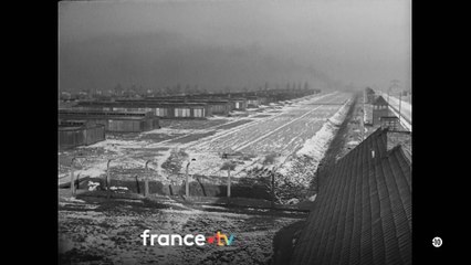 Auschwitz, des survivants racontent - 27 janvier
