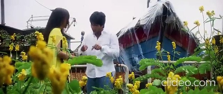 Chup chup k Bollywood Blockbuster Movie ( Part 1) staring Shahid Kapoor,Kareena Kapoor Raj PAl Yadav