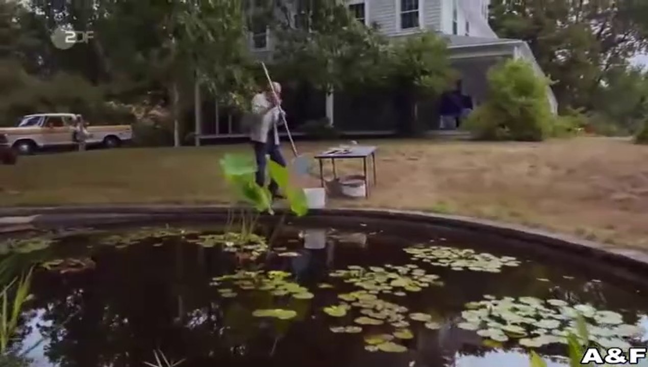 Katie Fforde -29- Bellas Glück