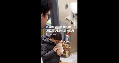 En Chine, les animaux robots dotés d'IA consolent une jeunesse solitaire