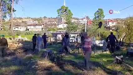 O mezarlıkta yanan ağaçların yerine fidan dikildi