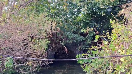 (डे प्लॅन) लाकडावर उभी दगडांची विहीर; सातपुडा पर्वताच्या पायथ्याशी पाण्याची खास व्यवस्था