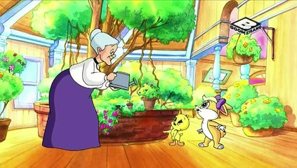 Baby Looney Tunes - Un'Avventura Straordinaria