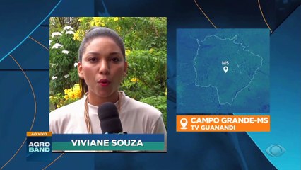 Giro Brasil: veja os destaques do agro nesta segunda-feira (20)