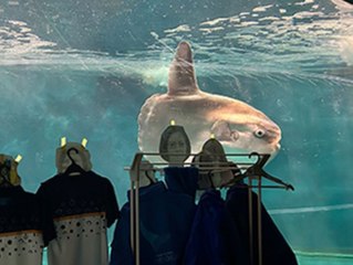 Pappmenschen im Aquarium helfen Fisch gegen Einsamkeit