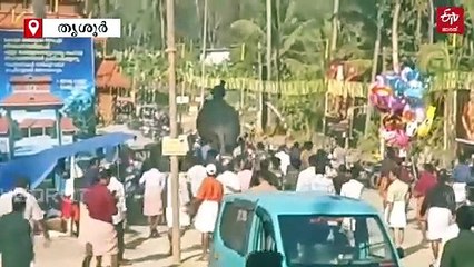 മതിക്കുന്ന് വേല എഴുന്നള്ളിപ്പിന് എത്തിച്ച ആന ഇടഞ്ഞു