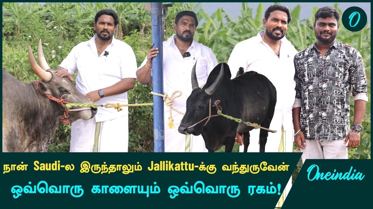 Jallikattu-ல் மிரட்டும் Sobanapuram Ananth அவர்களின் 12 காளைகள் | Jallikattu 2025 | OneIndia Tamil 