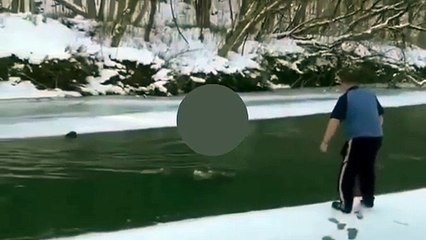 Vea aquí el dramático rescate de un perro de río helado en Vermont