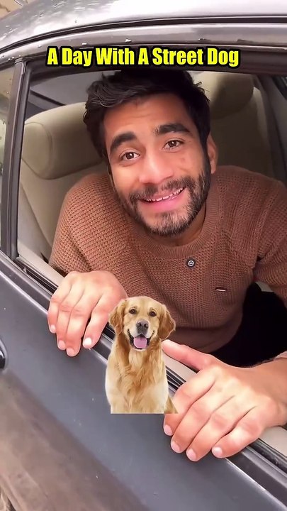 A Day With A Street Dog😭 #shorts #trending