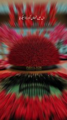 Dil main tamanaon ko