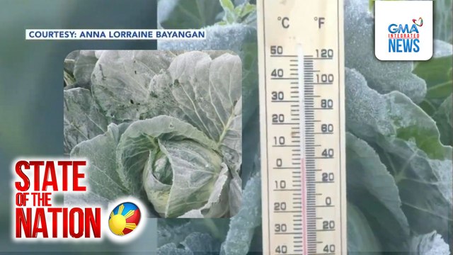 Mga gulay sa Atok, Benguet, nabalot ng frost o andap | SONA
