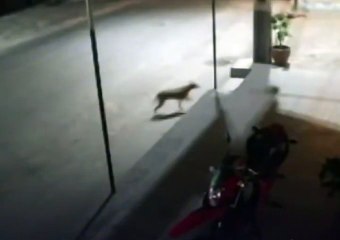 Carro desgovernado atropela e mata homem em Crateús
