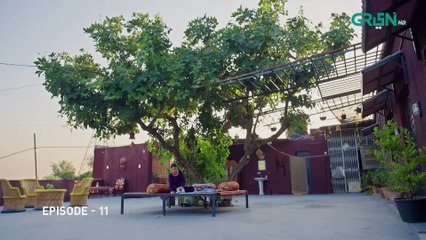 Diyar e Yaar Ep 11 (Subtitles) 20th Jan 2025 - Mikaal Zulfiqar  Mahenur Haider - Zaviyar Naumaan