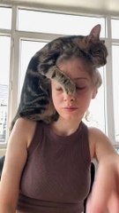 🌍🐱 Get ready to embark on a furry journey as we explore the fascinating w