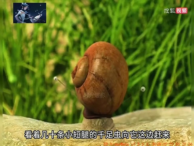 The millipede was so timid that it asked the snail to carry it across the road What bad intentions can small animals have Healing Interesting videos - Animal videos - Sohu Video