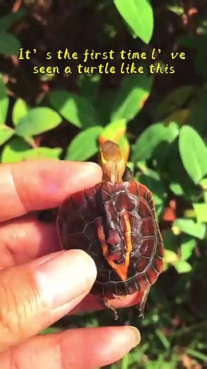 Does it really matter who eats