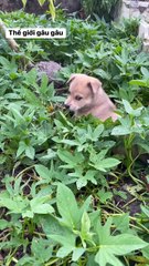 Is there a treasure my grandfather hid there? Why did he dig so hard?