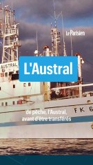 « Des tours de garde pour surveiller l’incendie » : une habitante raconte l’évacuation de l’île d’Amsterdam