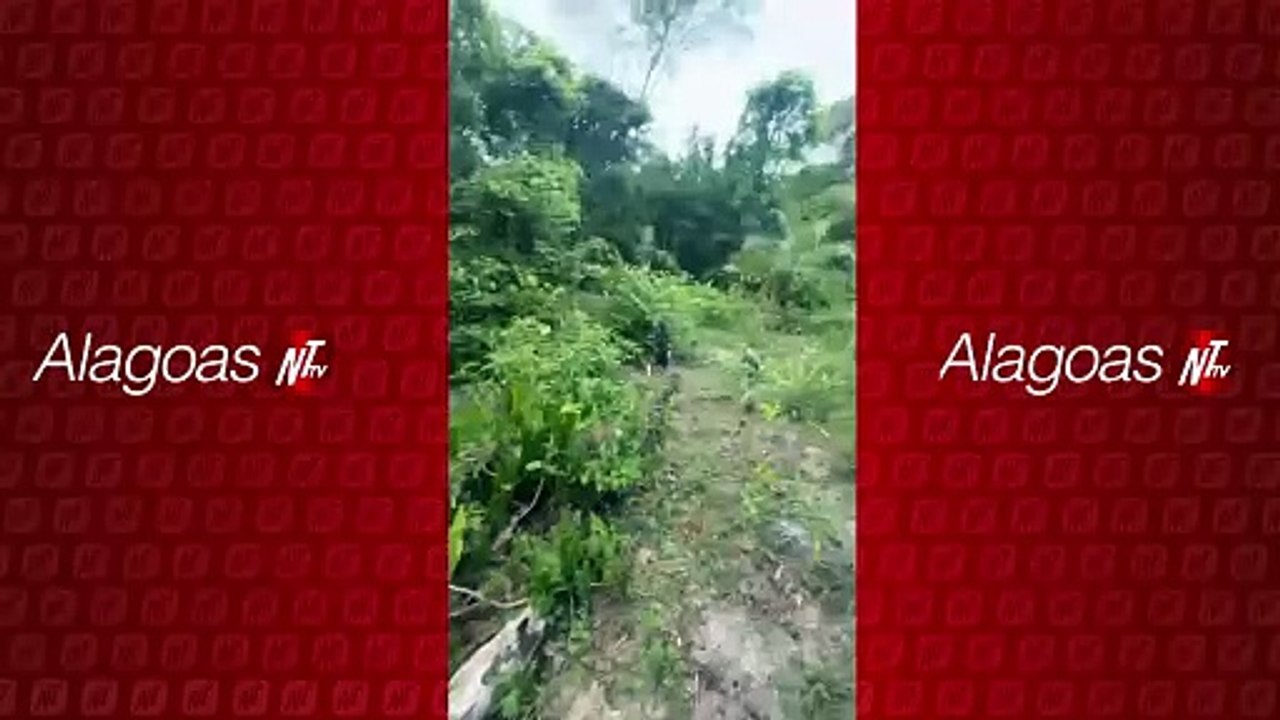 Sequestro Brutal no Litoral Norte da Bahia: argentino e brasileiro são torturados e resgatados