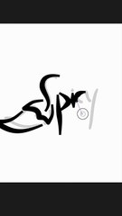 Spicy Wordmark Logo Design🌶️🌶️🌶️🌶️🌶️🌶️🌶️