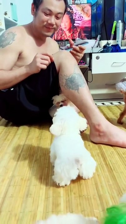 Du wagst es, Kui zu ärgern... Du bist genau da drin... Kui wird dich sofort auspeitschen...