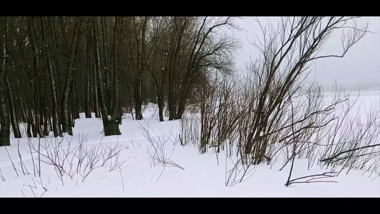 An evening with music: classical piano with clarinet duo for 5 minutes free entertaining with the musics.