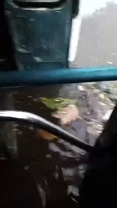 Micro inundado