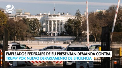 Empleados federales de EU presentan demanda contra Trump por nuevo Departamento de Eficiencia