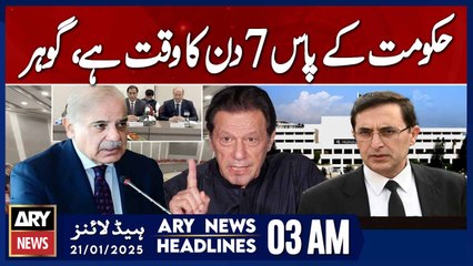 Government Has 7 Days Left, Gohar -  ARY News 3 AM Headlines | 21st JAN 2025