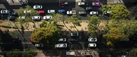 ¡Qué Huevos, Sofía! | movie | 2025 | Official Trailer