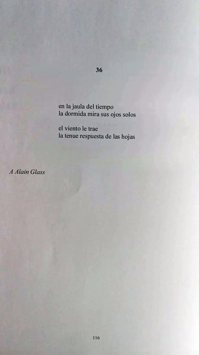 Alejandra Pizarnik - Poesía completa - - - - #poesia #poesía #versos #poetry #citasenespañol