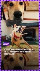 Joven realizó una pelicula de su perrito y este fue el resultado