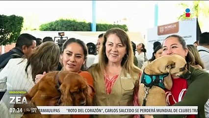 Crean el Registro Único de Mascotas en Morelos