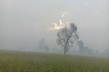 Rajasthan Weather : मौसम का मिजाज बदला, जयपुर के मौसम में हो रही गर्माहट महसूस