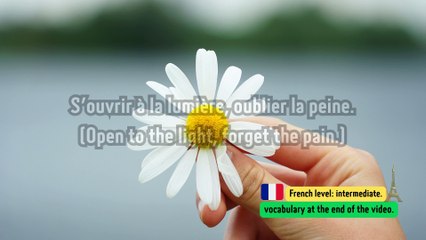 Le Pouvoir Du Pardon. French Music