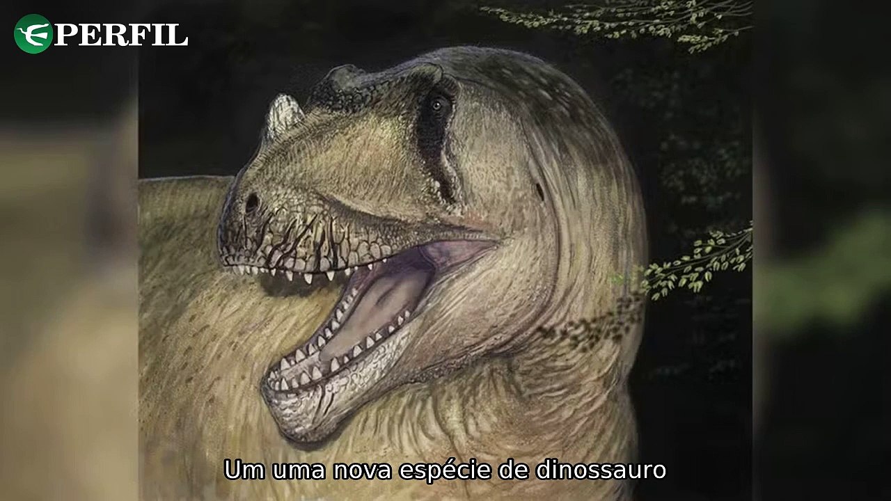 "Descobertas Incríveis: Dinossauro egípcio 'ressuscitado', história real vs filme e nova espécie de aranha mortal"