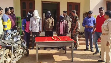 ରାଜ୍ୟ ବାହାରକୁ ଚାଲାଣ ବେଳେ ୨ ହାତୀ ଦାନ୍ତ ଜବତ   ୪ଜଣ ଗିରଫ, ଆନ୍ତଃରାଜ୍ୟ ଅପରାଧୀ ସାମିଲ