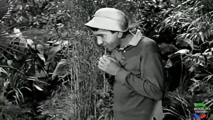 Isla De Gilligan 1x29