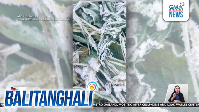 Ilang pananim sa Benguet, nabalot ng andap | Balitanghali