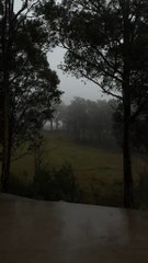 Le calme avant la tempête