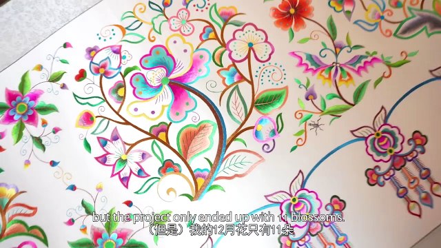 Exhibition of 2024 ISVC Outstanding Works《Inheritors of Intangible Culture Heritage-Amazing Sichuan Lady》